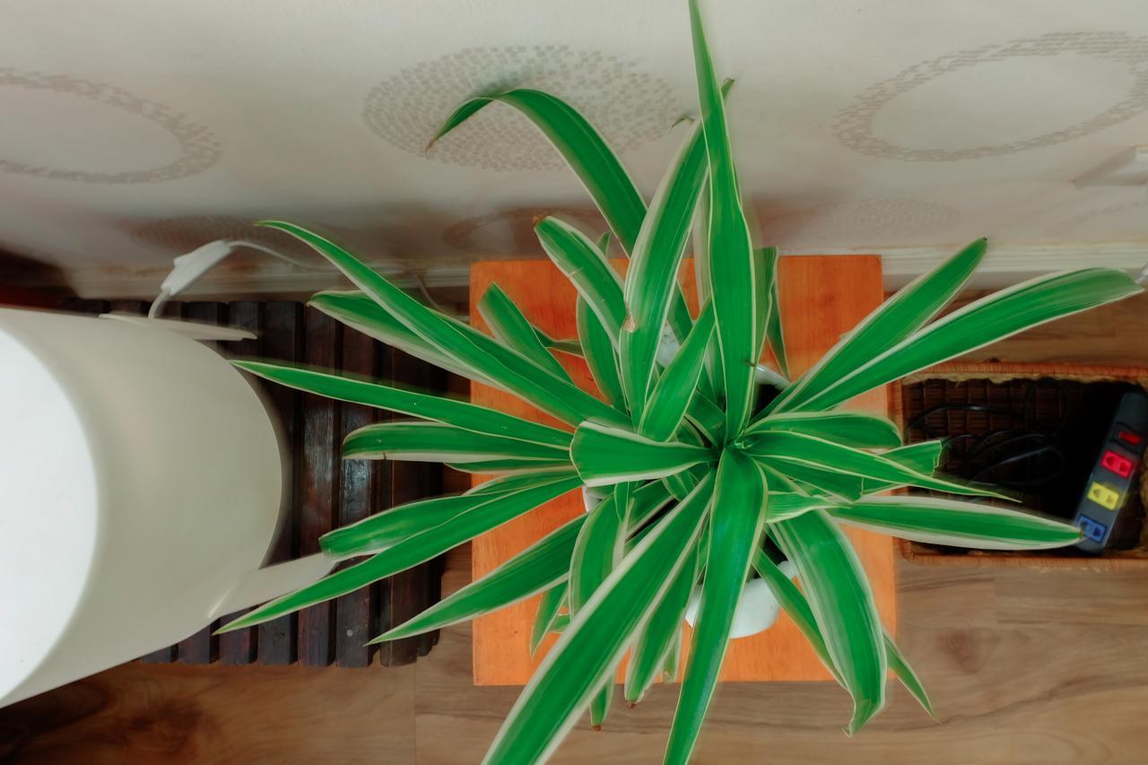 Magari Homestay Hô Chi Minh-Ville Extérieur photo