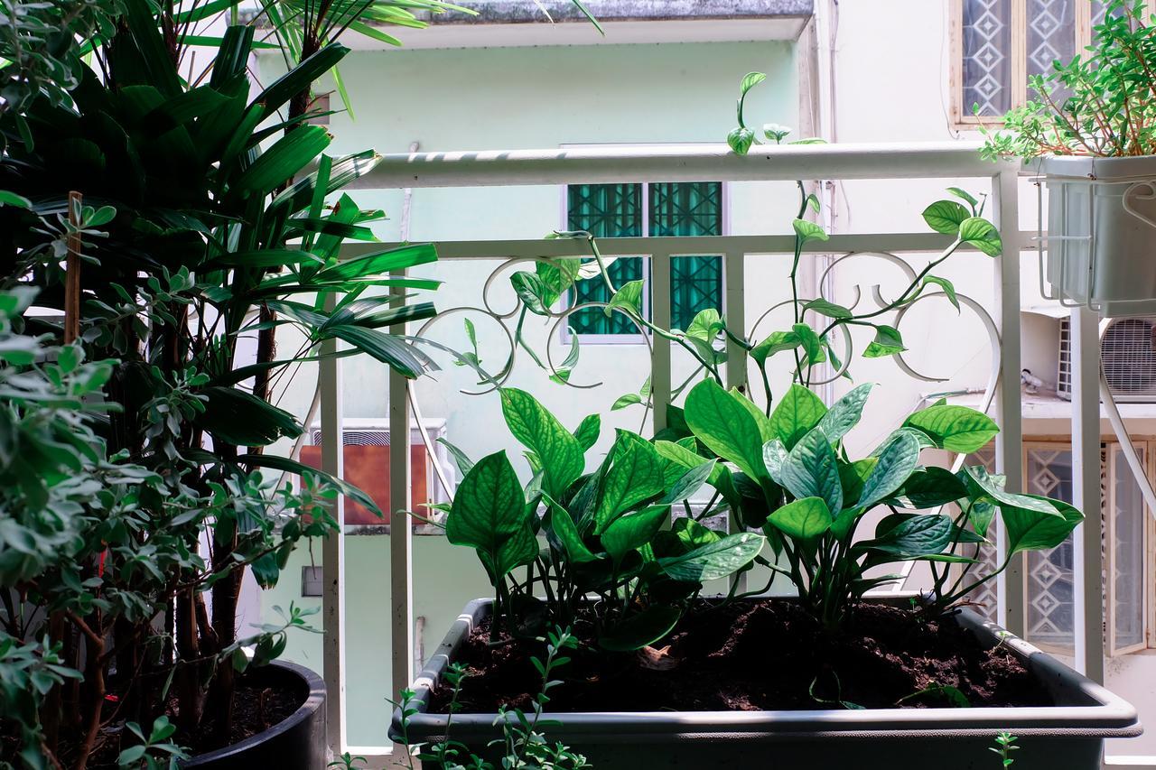 Magari Homestay Hô Chi Minh-Ville Extérieur photo
